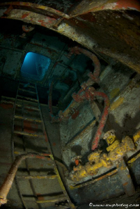 Ladder inside the wreck of the Ex HAMS Swan by Chris Holman 